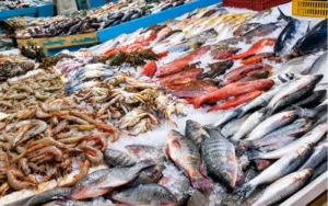Fish and Seafood